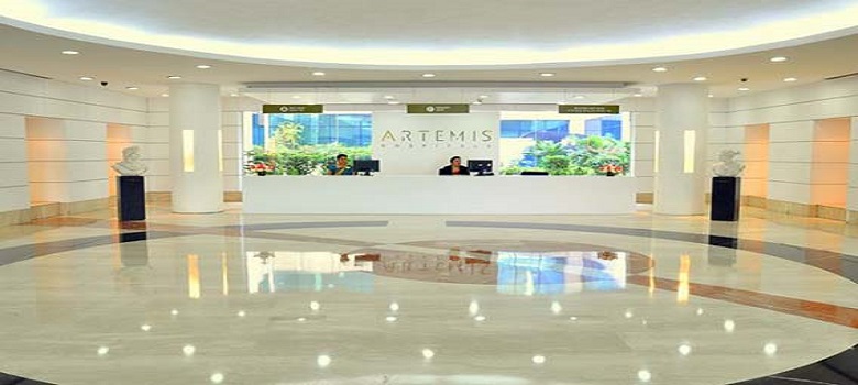 مستشفى أرتميس