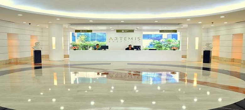 Artemis Hospital